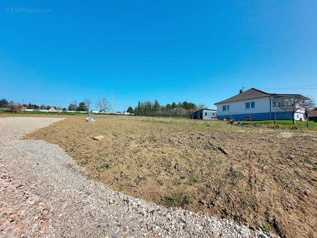 Terrain à SCHNERSHEIM