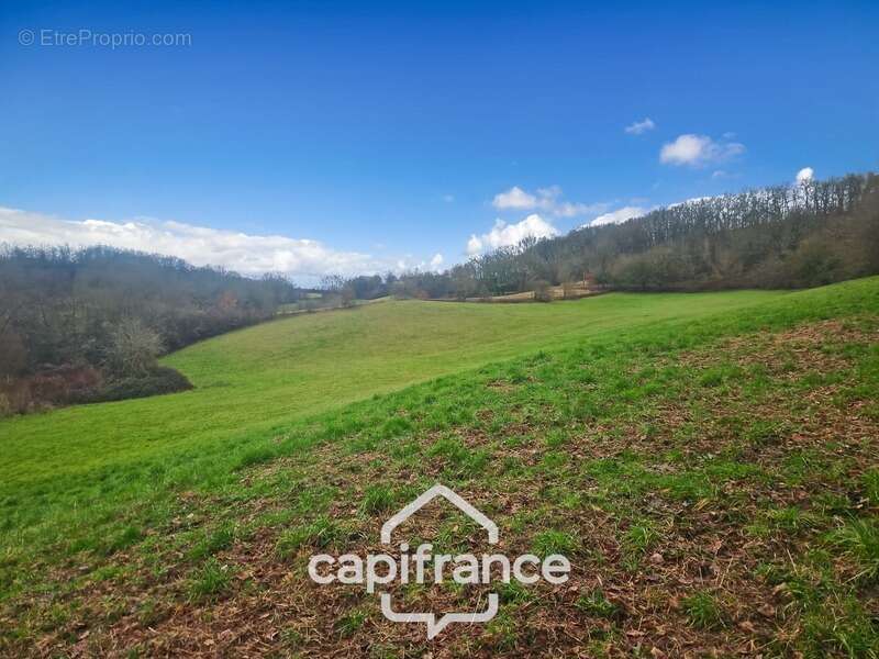 Prairie, terrain de 2.3 hactares avec source - photo 8