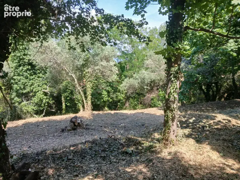 Terrain 1 193 m² à vendre à Saint-Savournin (13119) - photo 5