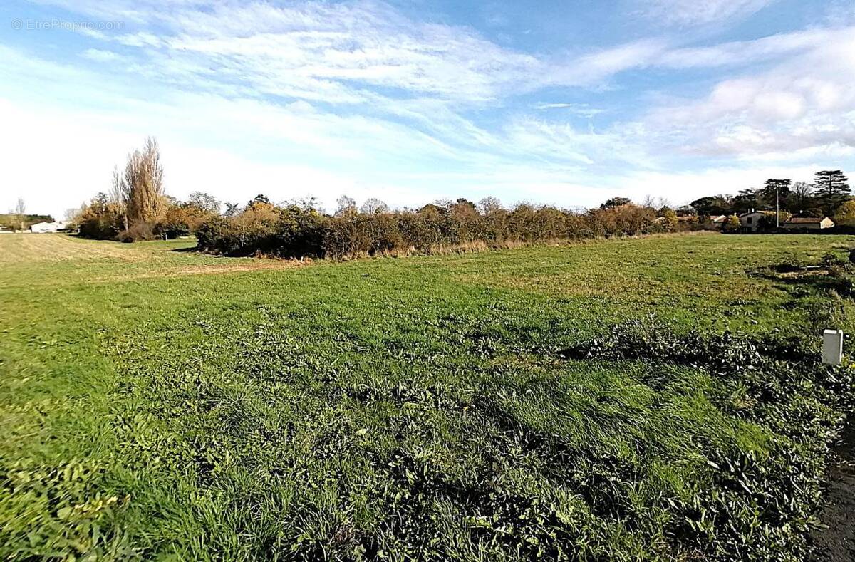 Terrain à SEVRES-ANXAUMONT