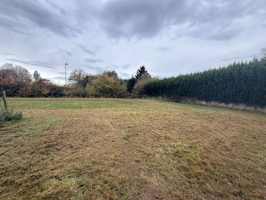 Terrain à SAINT-AUBIN-DU-THENNEY