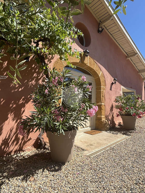 Maison 240 m² à Sain-Bel  - photo 2