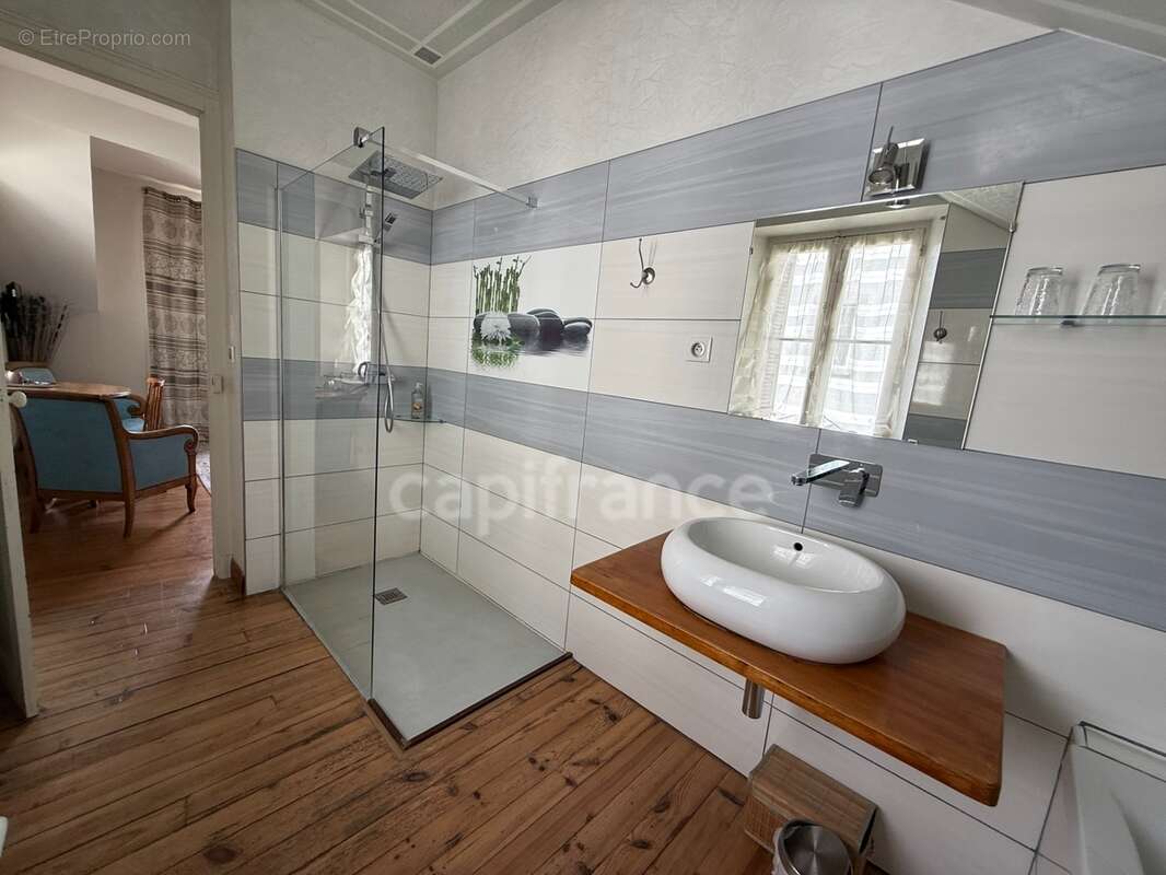 Demeure de prestige face aux sanctuaires de lourdes - photo 23