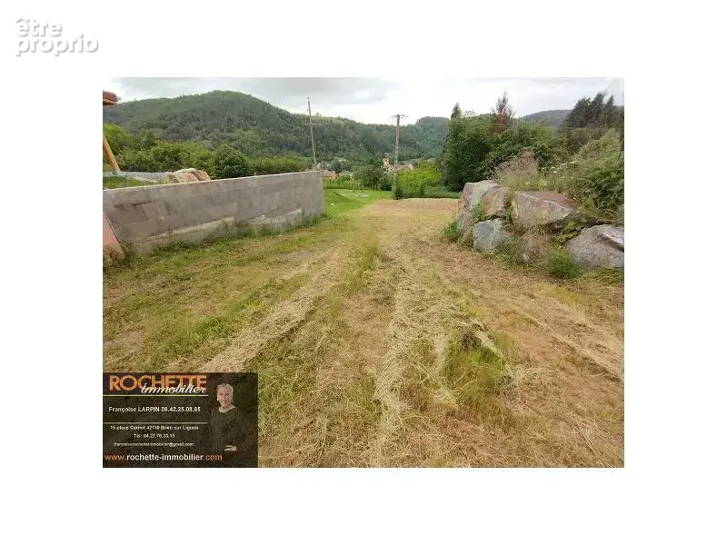 Terrain 1054 m² à Sail-Sous-Couzan  - photo 8