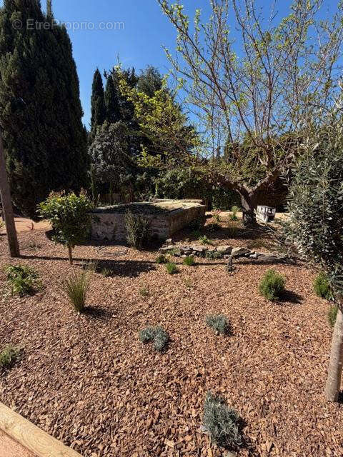 Appartement à COLLIOURE