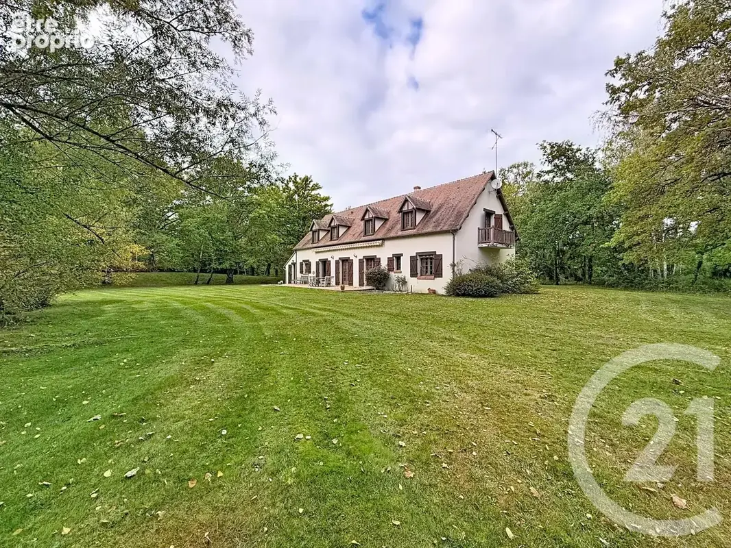 Maison 7 pièces 257 m² à vendre à La Ferte-Saint-Aubin (45240) - photo 18