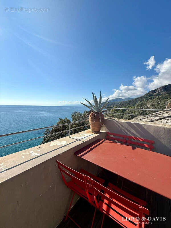 roof top  - Appartement à BRANDO