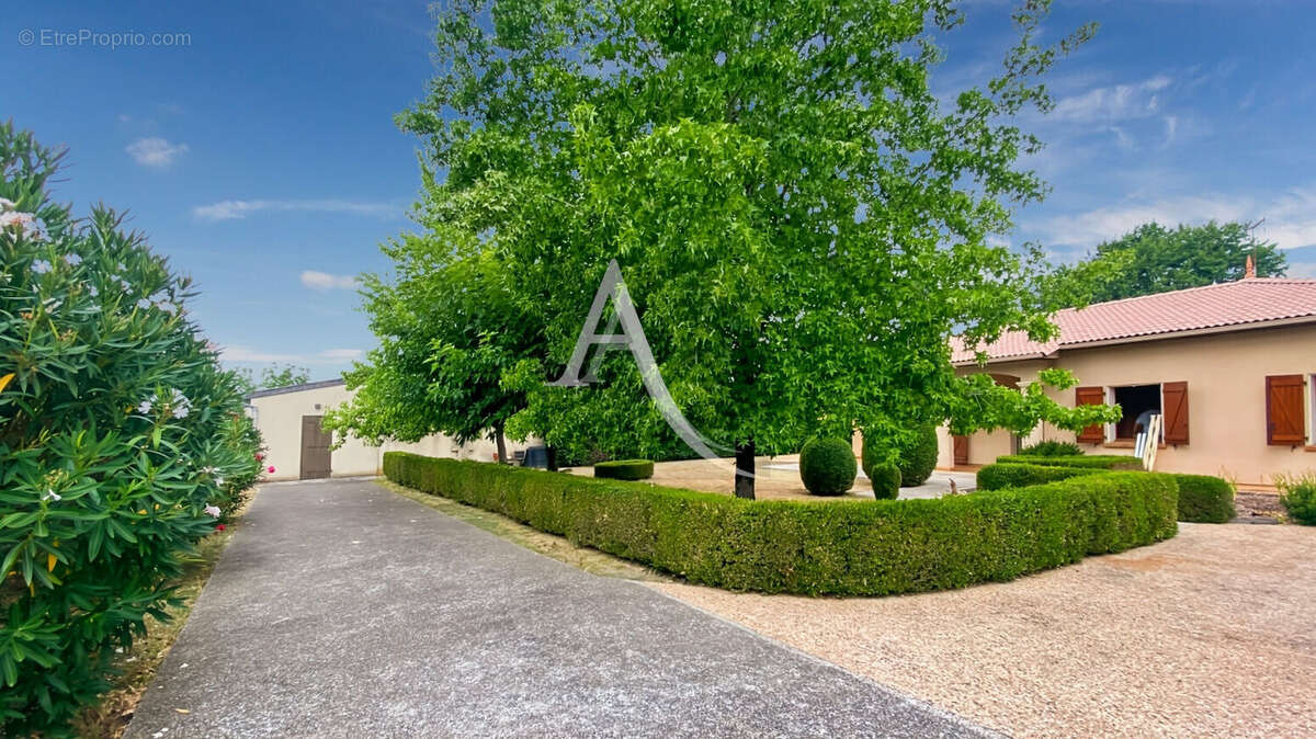 Maison de plain-pied avec jardin paysagé et dépendance à Saint-Vite - photo 10