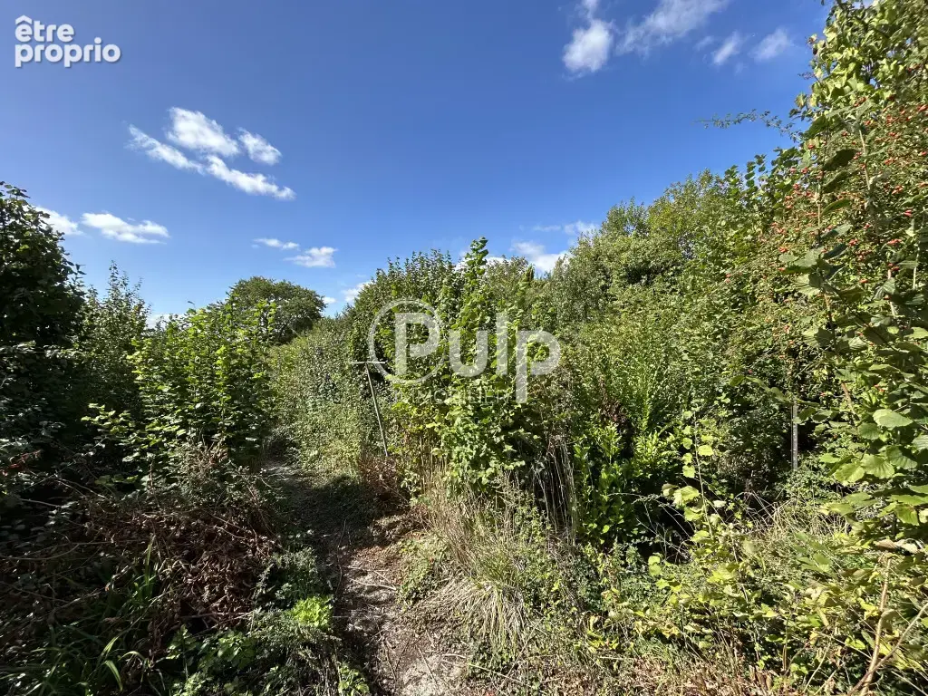 HERSIN-COUPIGNY - Maison 173 m² - Terrain +2 000 m² - Garage & dépendances - photo 21