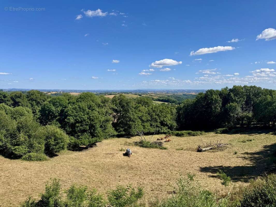 Charmante maison en pierre avec jardin, vue et grand potentiel - photo 14