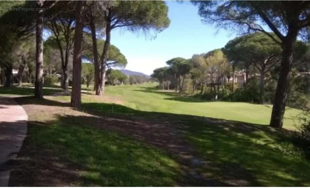 Commerce à SAINT-RAPHAEL