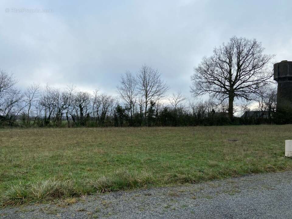 Terrain 704 m² à Precigne  - photo 2
