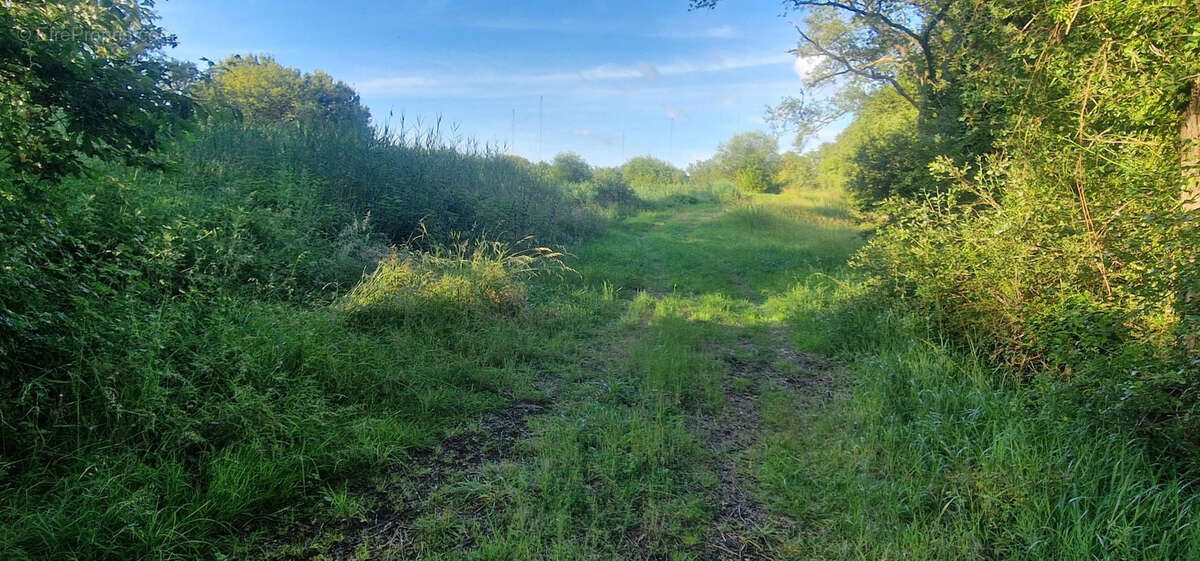 Terrain à ROSNAY