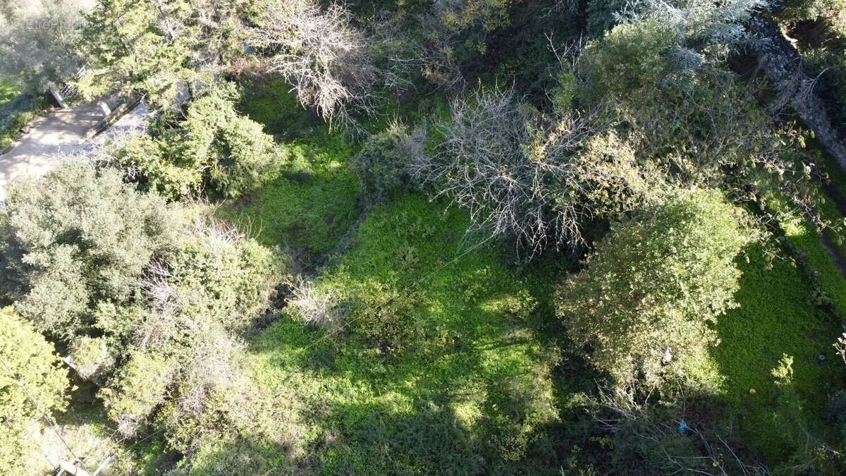 Terrain à CASTELLO-DI-ROSTINO