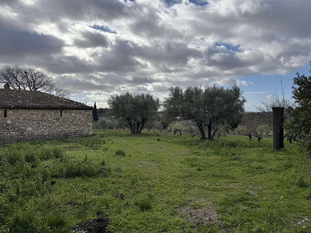Maison à MONTPEYROUX