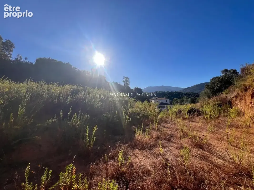 Photo Terrain à Bastelicaccia au prix de 269 000€
