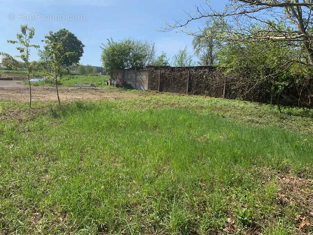 Terrain à LES FORGES