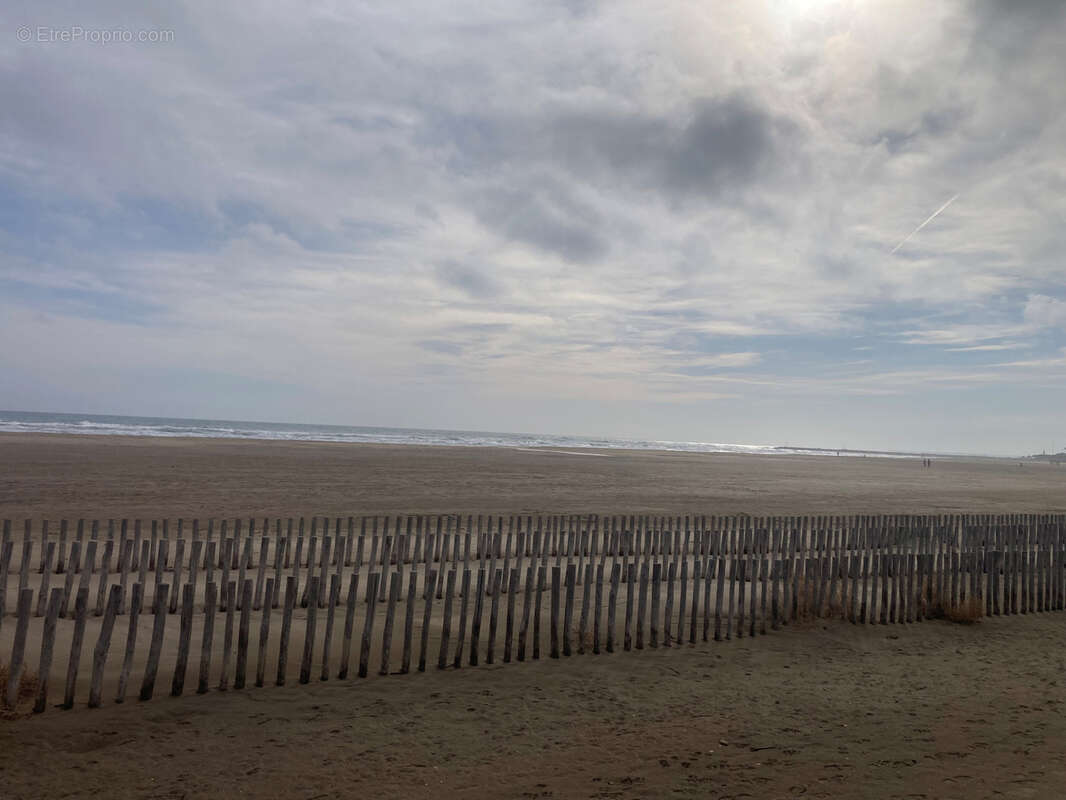 Gruissan, à 3kms des plages, maison de caractère rénovée avec 5 chambres, sur un parc de 2,5 hectares, avec pi - photo 40