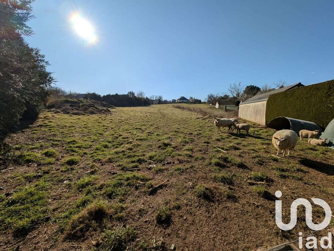 Photo 3 - Terrain à MOISDON-LA-RIVIERE