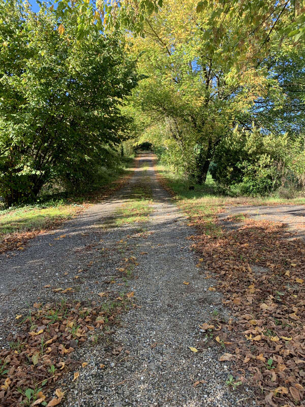 Commerce à SAINT-PANTALEON-DE-LARCHE