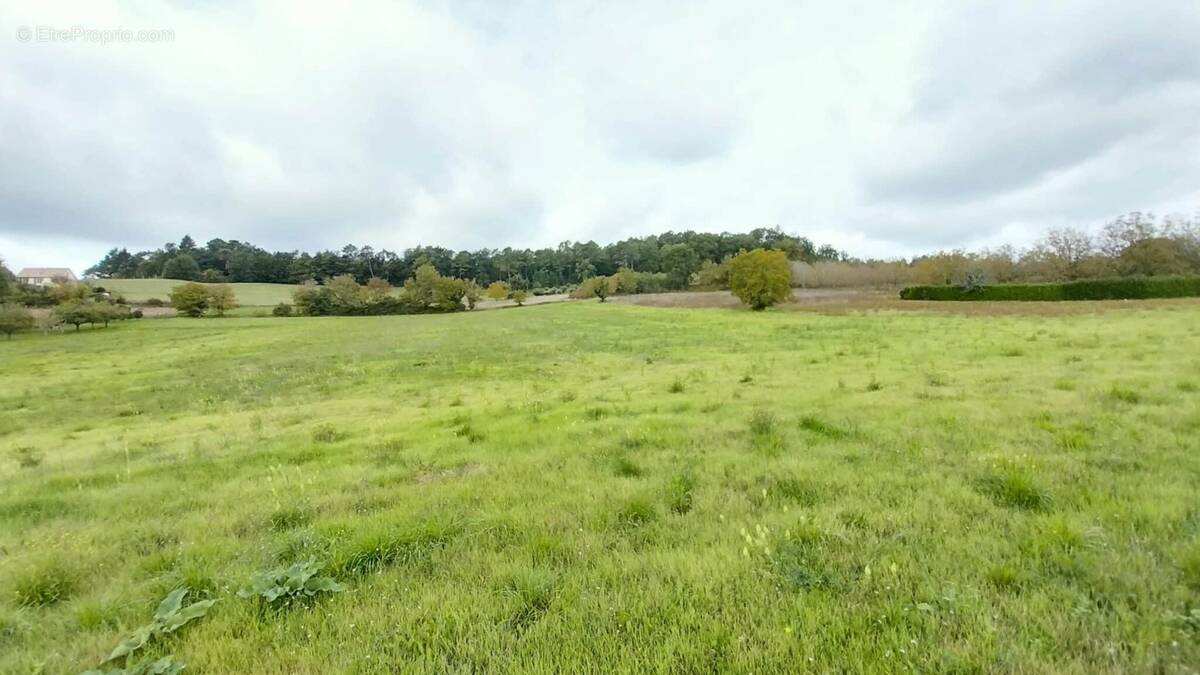 Terrain à SAINT-GERMAIN-DU-SALEMBRE