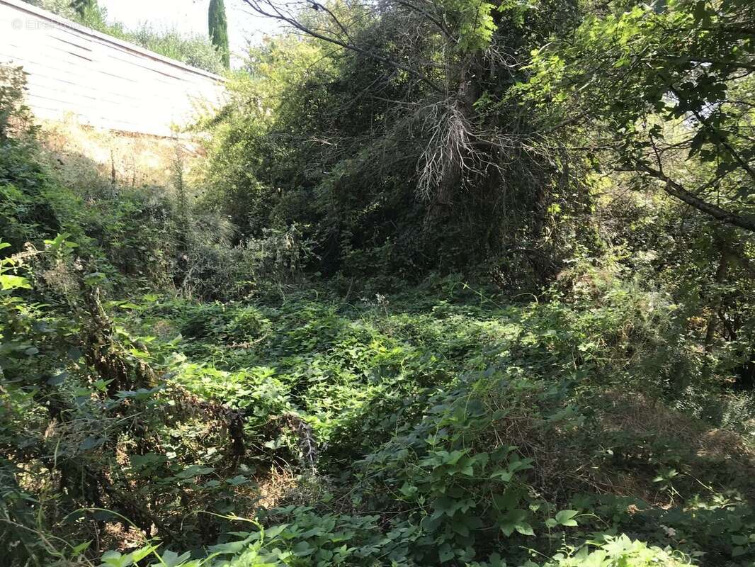 Terrain à GRASSE