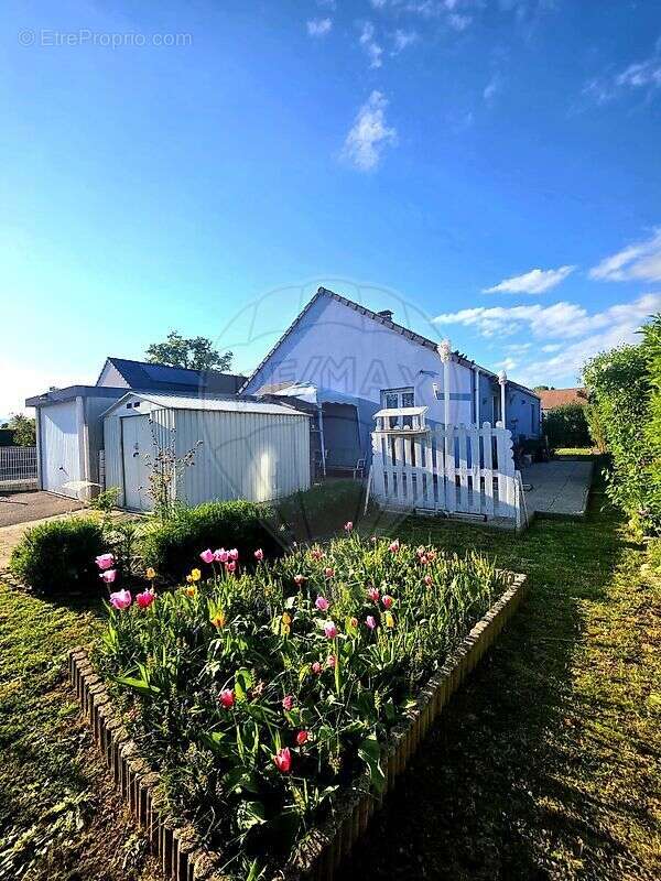 Maison à RICHWILLER