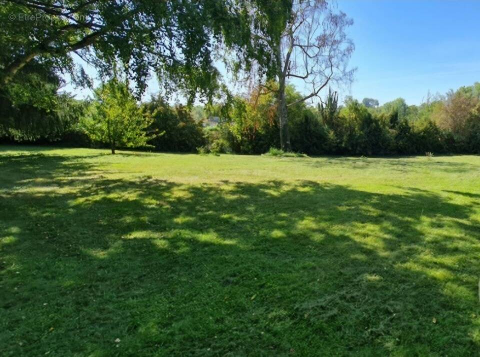 Terrain à NOZAY