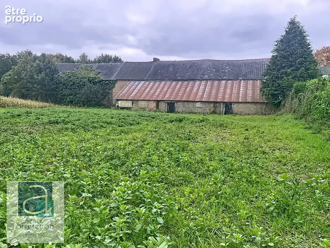 Maison Illifaut - photo 11