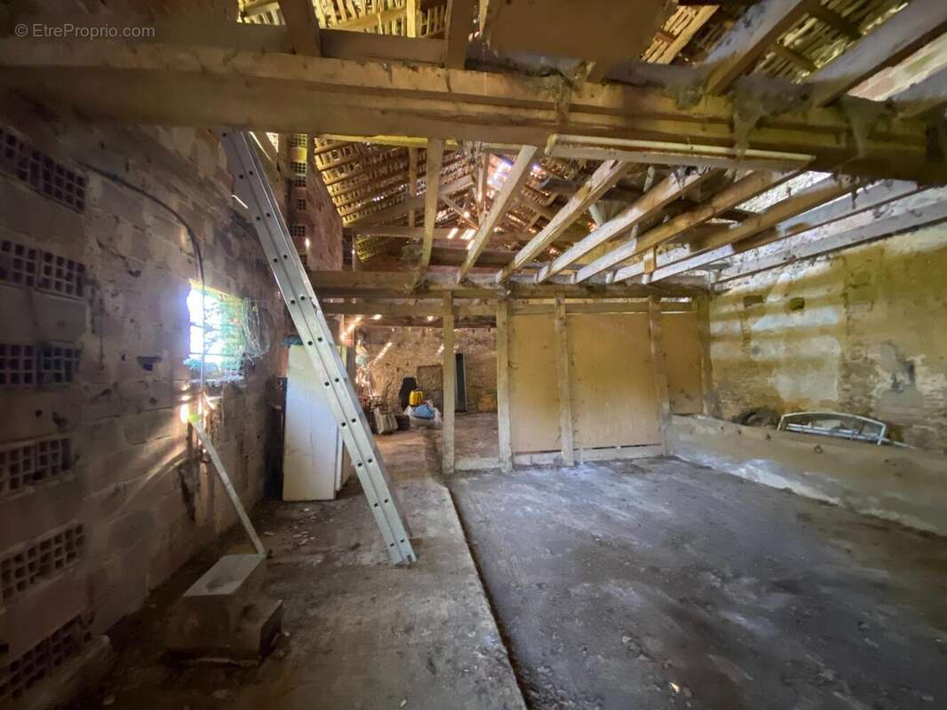 Photo 5 - Maison à SORBETS