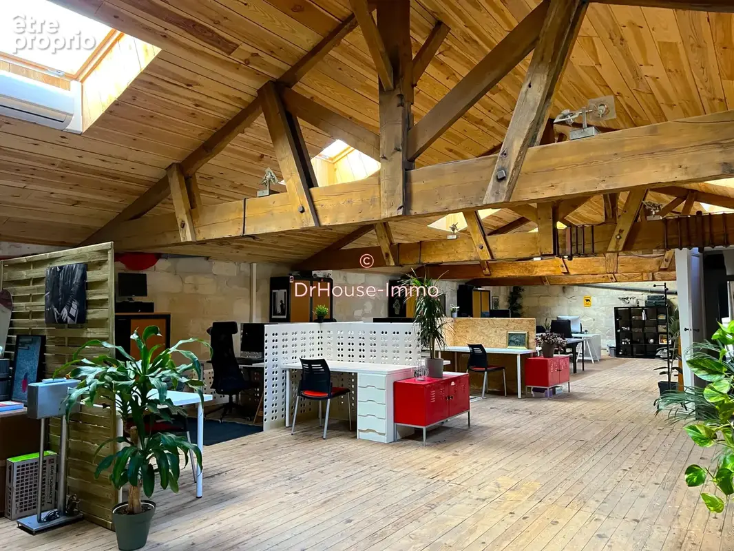 Commerce 380 m² à vendre à Begles (33130) - photo 23