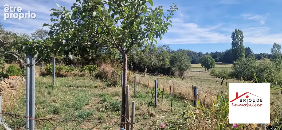 Maison avec dépendance et terrain - photo 7