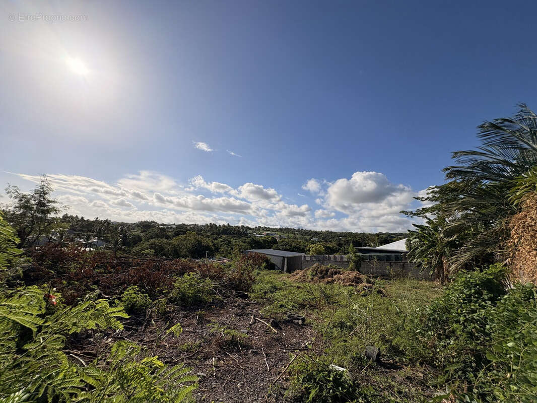 Terrain à SAINT-PIERRE