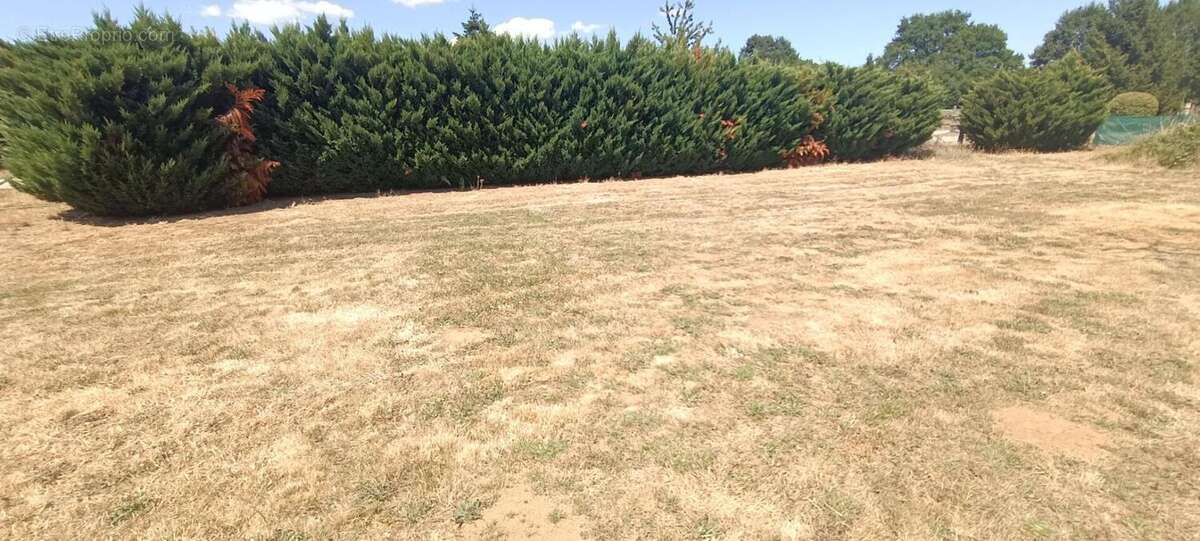 Terrain à bâtir entièrement plat de plus de 800 m2 avec une façade de 24 m - photo 4