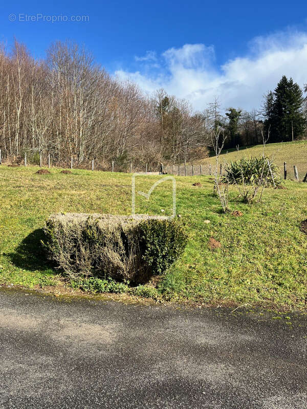 A vendre Maison 118 m2 avec Garage + dépendance sur terrain de 2593m2 - photo 26