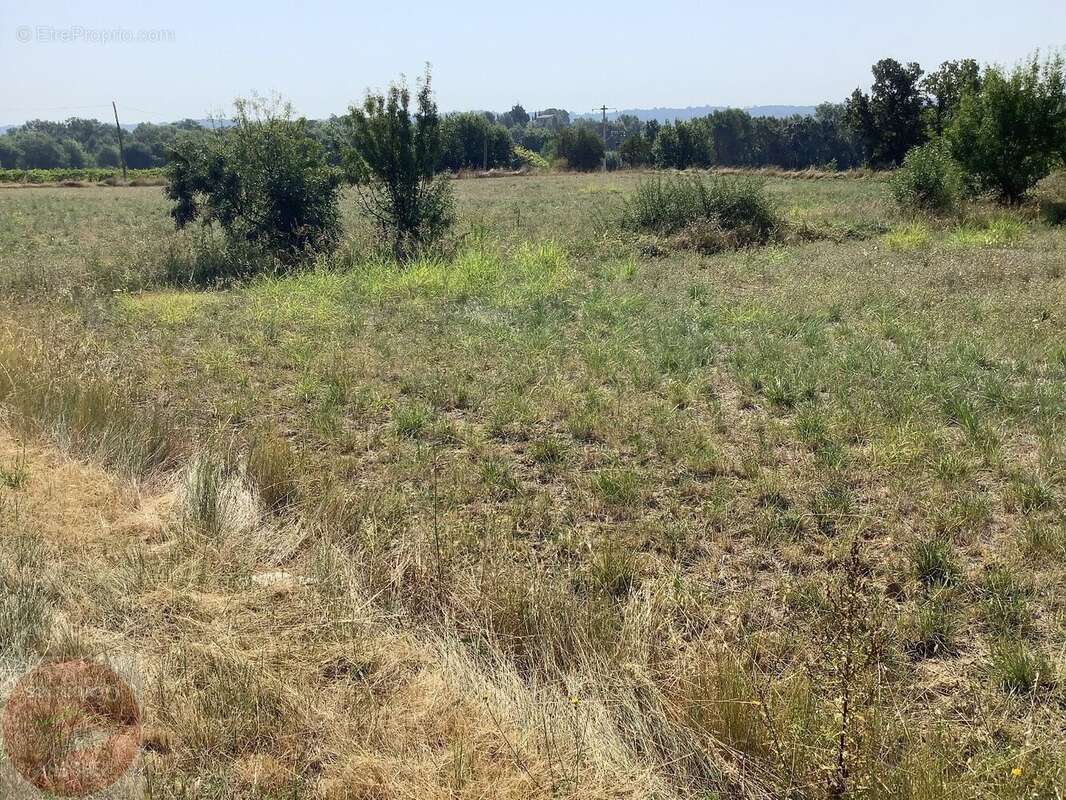 Tres beau terrain constructible de 3595m² - photo 2
