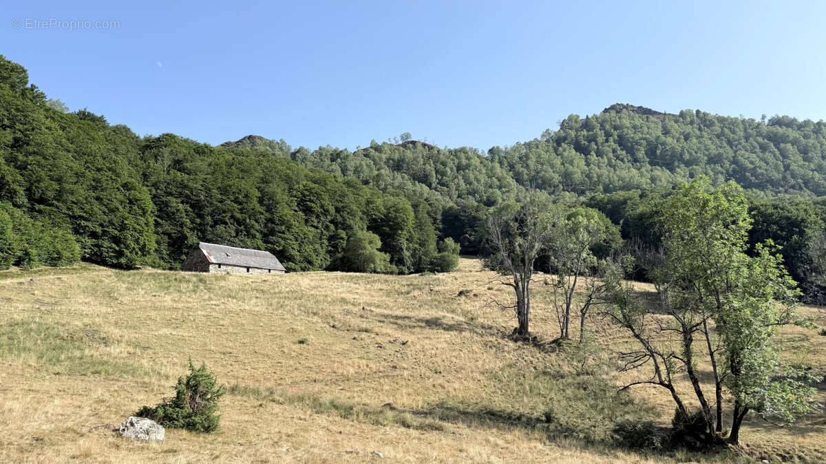 Grange sur les hauteurs en Val d'Azun - photo 11