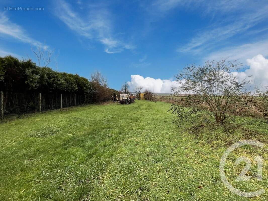 Terrain à FOISSY-SUR-VANNE