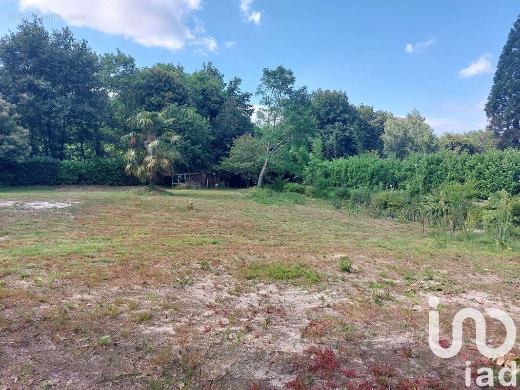 Photo 6 - Terrain à SAUGNAC-ET-CAMBRAN