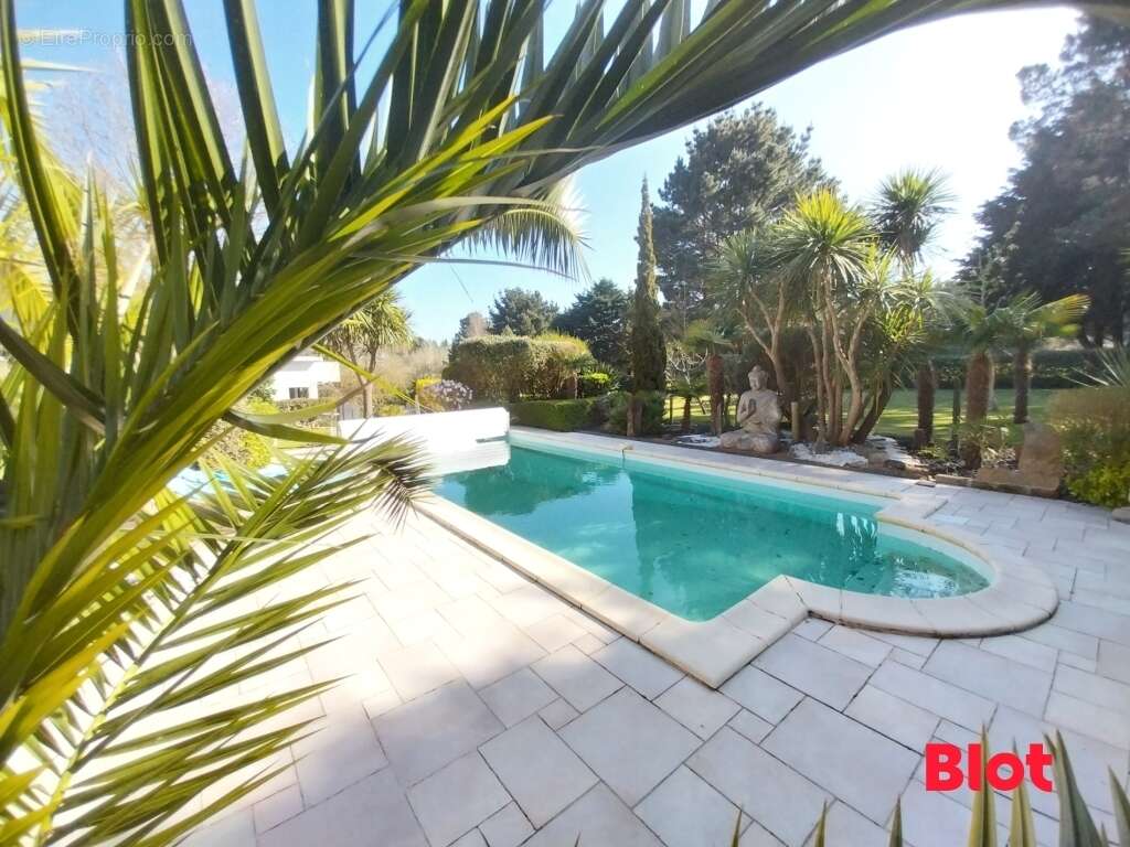 Maison à SAINT-ANDRE-DES-EAUX