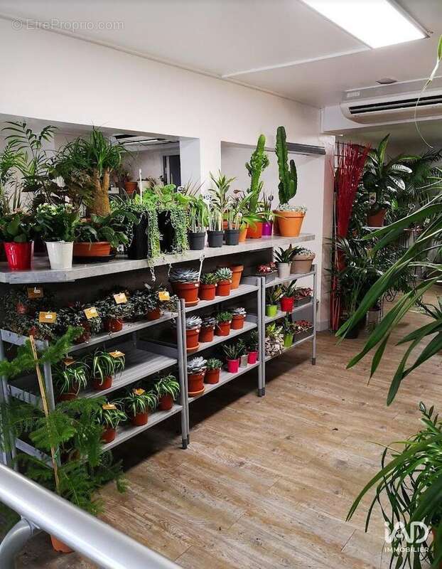 Photo 2 - Commerce à TOURS