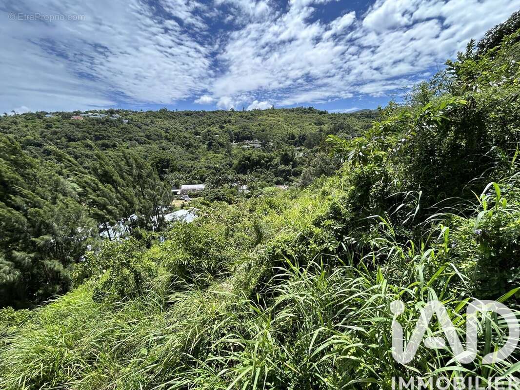 Photo 5 - Terrain à SAINT-DENIS