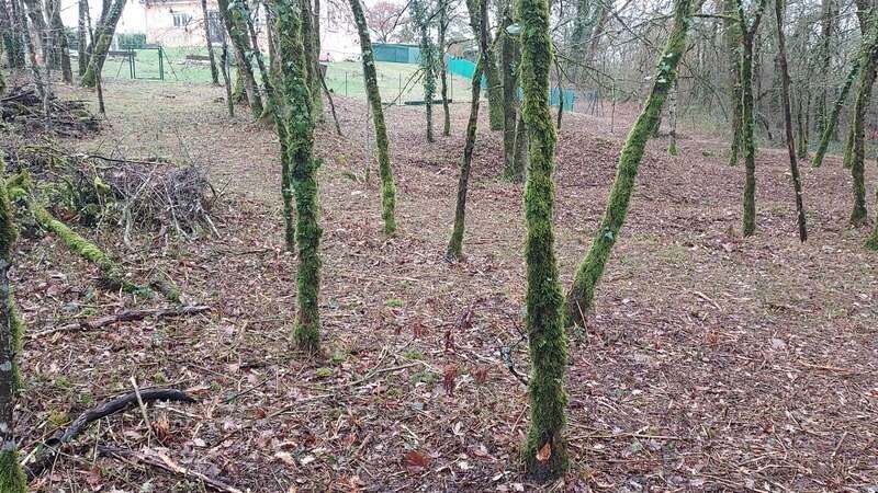 Terrain à vendre de 1 255,00 m² BALADOU (46) - photo 8