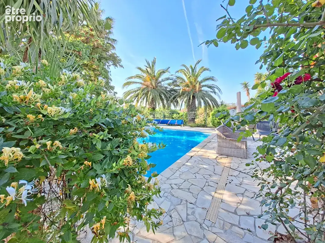 Perpignan SUD Villa 4 faces de Type 5 sur 4000m2 de terrain - photo 3