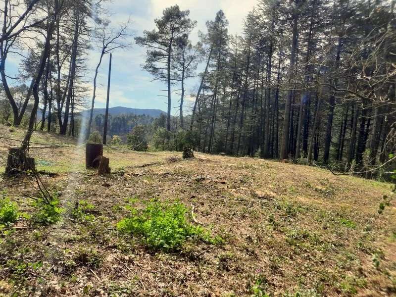 Terrain à SAINT-AMBROIX