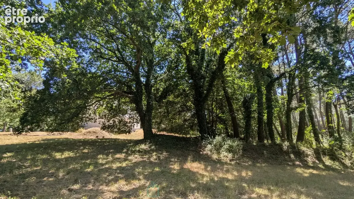 Maison familiale de 5 chambres à rénover  Sous-sol complet  Terrain de 8 291 m²  À 1,6 km de la Petite Mer de Gâvres - photo 21