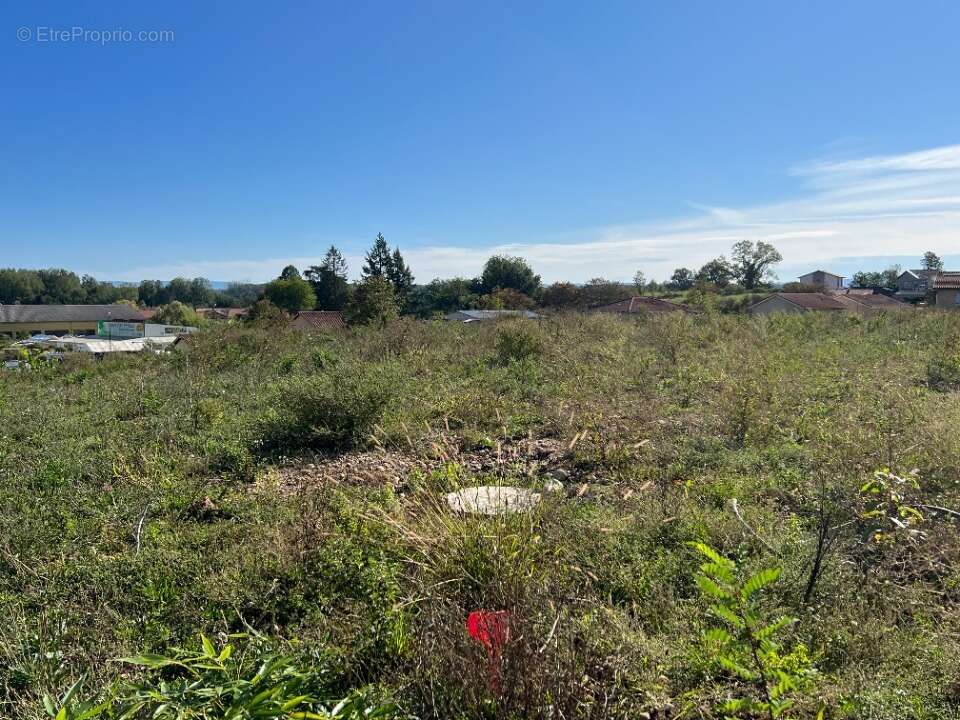 Terrain 370 m² à Chalamont  - photo 3