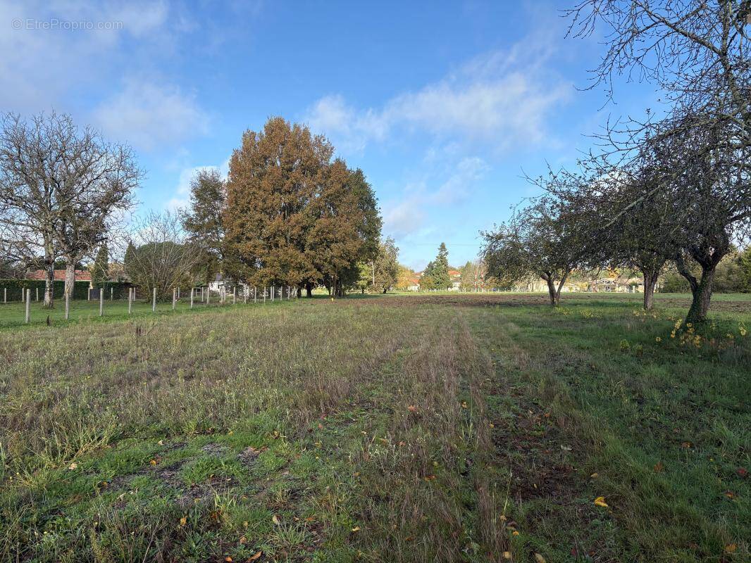 Terrain à SAINT-FRONT-DE-PRADOUX