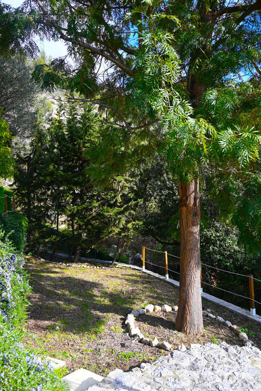 Belle Villa surplombant Monaco - photo 15