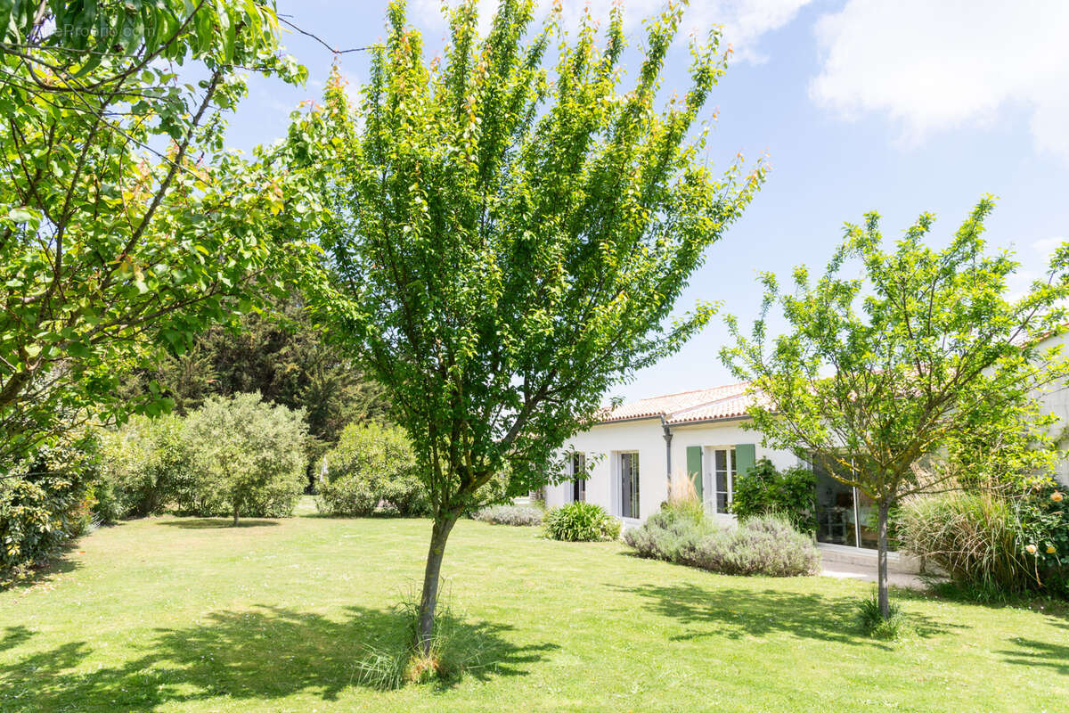 Maison à LA FLOTTE